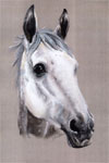 Grey Horse